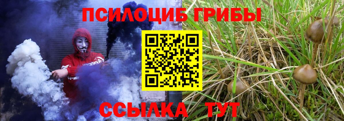 Галлюциногенные грибы прущие грибы Тулун
