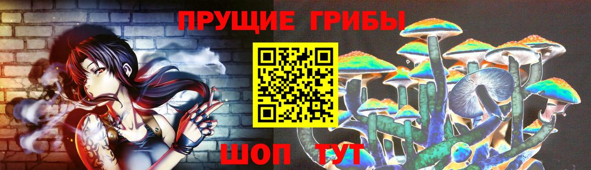 Псилоцибиновые грибы Cubensis  Вход с VPN  Галлюциногенные грибы ЛСД  Тулун 
